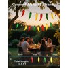 Xingzd 13.6FT Chili Pepper Outdoor String Lights, 35 LED Warm