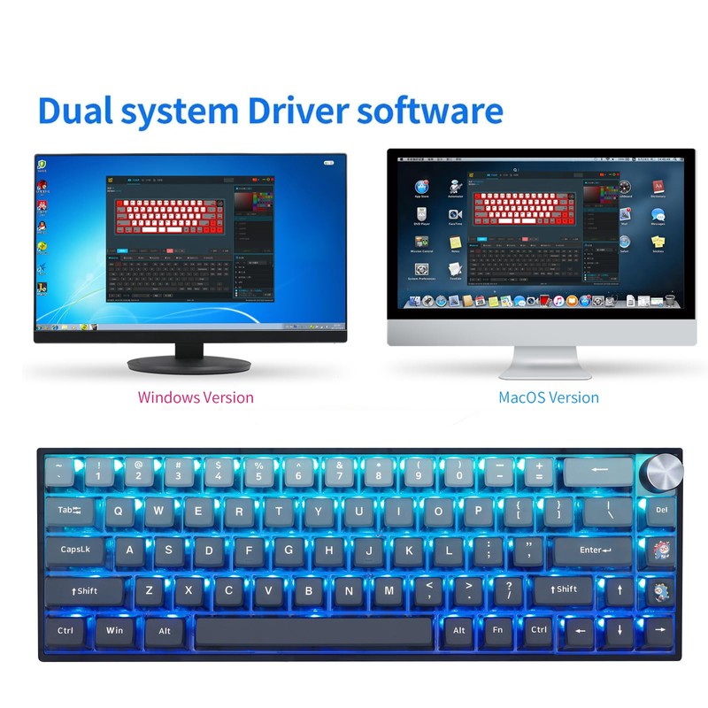 MOLGRIA SKYLOONG GK68 Blue Backlit Gaming Keyboard with Side Transparent