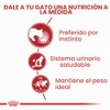 Royal Canin - Bolsa húmeda instantánea para adultos, 12 x