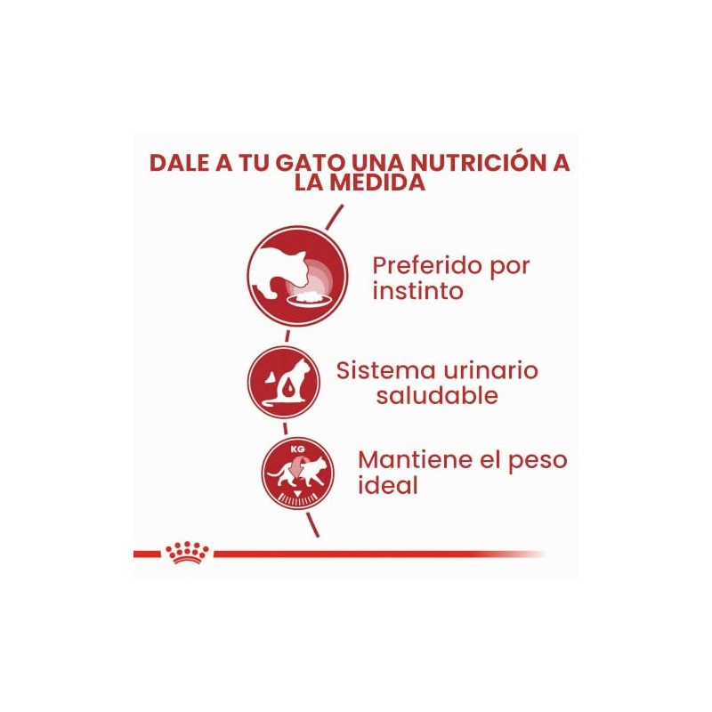 Royal Canin - Bolsa húmeda instantánea para adultos, 12 x