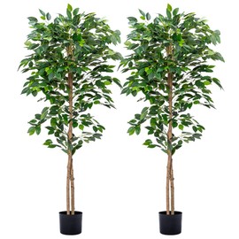 HAIHONG 2Packs 5FT Ficus Trees Artificial with Realistic Leaves and Natural Trunk, Faux Ficus Tree with Plastic Nursery Pot, Fake Ficus Tree for Office Home Decor Indoor Outdoor (New Type)