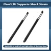 Esttlamer 2059800064 Front Hood Lift Supports Shock Struts Replacement for