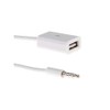 adaptare 14030 10 cm Aux-In-Kabel 3,5-mm-Klinke-Stecker auf USB 2.0-Buchse Typ