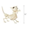 Crazy Bonez Digger The Skeleton Dog