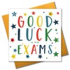 Pom Pom "Good Luck In Your Exams Greeting Card
