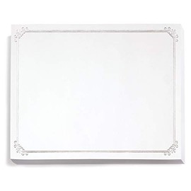 PaperDirect Silver Foil on White Simple Border Specialty Certificates, 8Â½ x 11, 50 Count