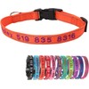 Collar de Perro Nylon Reflectante con Nombre Personalizado Collar Perro