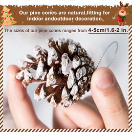 Whaline 25Pcs Christmas Natural Pine Cones Bulk Rustic Snow Pinecones with String Pine Cone Pendant Winter Holiday Hanging Ornament for Xmas Tree Gift Tag Party Decoration, 1.6-2 Inch