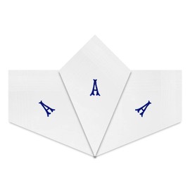 Warwick & Vance Handkerchiefs for Men and Men Satin with Blue Embroidered Initials Pack of 3, a, 40cm x 40cm, a