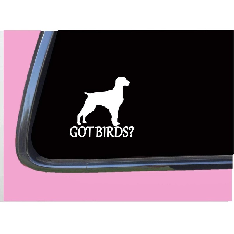 Brittany Spaniel got birds TP 1335 vinyl 6" Decal Sticker