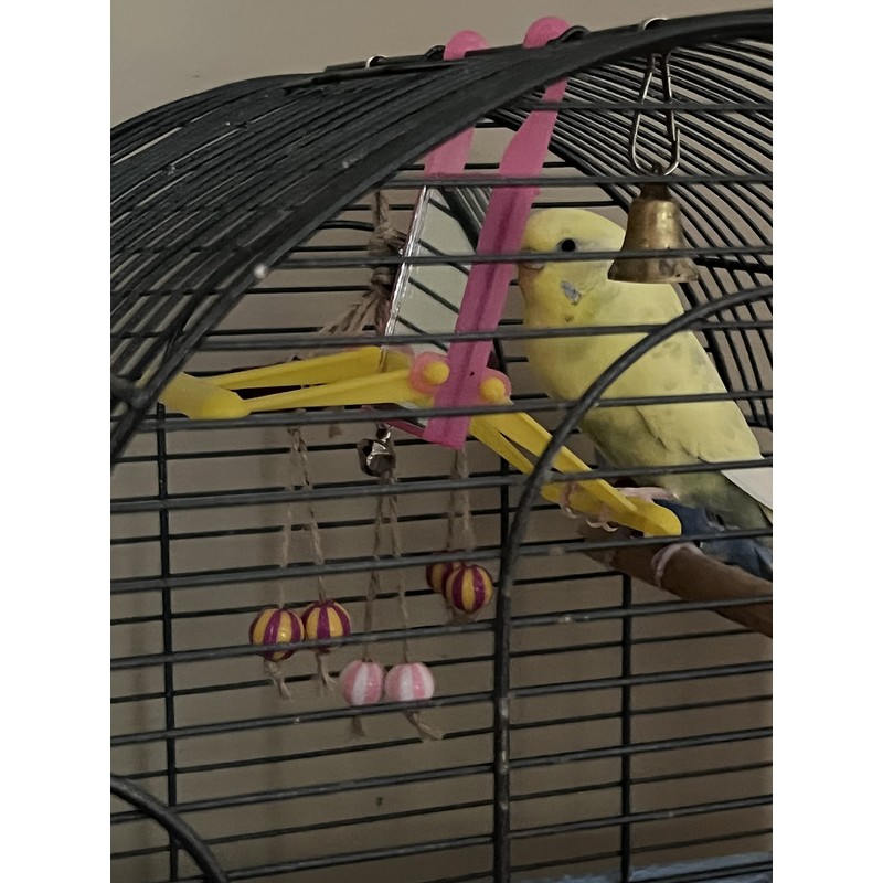 2 Bird Cage Hanging Mirrored Small Swing Perch Toys Parakeet