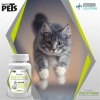 Tabletas Vitality Con Omegas Para Gato Joven 60 Tabletas Vit