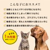 Cordy Plus Placenta 12000 30g Dog Cat Skin Inflammation Liver