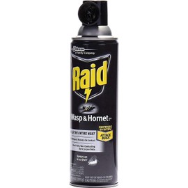 Raid Wasp Hornet Killer Spray (14 Ounce (Pack of 10))