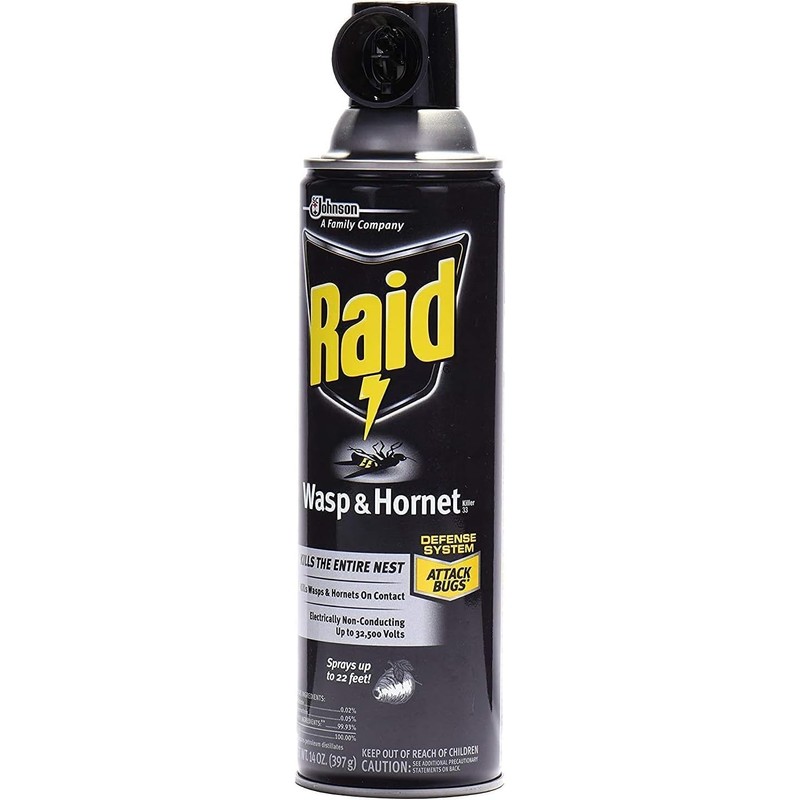 Raid Wasp Hornet Killer Spray (14 Ounce (Pack of 10))