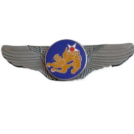 Reproduction SOUVENIR US 14TH USAF FOURTEENTH AIR FORCE MILITARY PILOT WING BADGE INSIGNIA METAL PIN