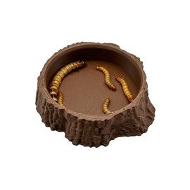 Reptile Oak Dish | Oak Tree Stump Decor Feeding Dish and Water Tray