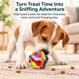 Dog Snuffle Ball for Nose Work – Interactive Treat-Hiding Slow Feeder for Daily Foraging Play