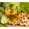 Aceite De Ricino 100 Puro 500 Ml.