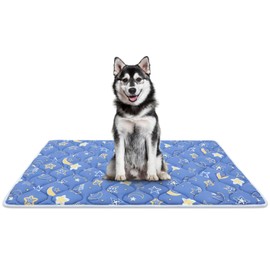 Dog Crate Mat, Ultra Soft Dog Bed Mat for Sleeping with Anti-Slip Bottom, Washable Kennel Pad for Large Medium Small Dogs Breeds with Cute Prints and Dark Colored to Hide Stains (48" X 30")