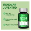 Nad+ 60 Capsulas,suplementos Bioteep | 30 Días