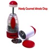 Handy Gourmet's Miracle Chop with Bonus Grater