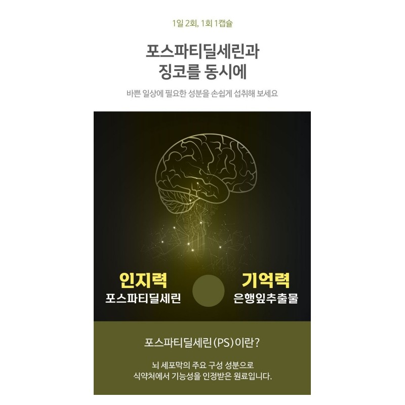 Phosphadidylserine efficacy Ginkgo supplement 1 month / 포스파디딜세린 효능 징코