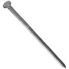 NATIONAL NAIL 54275 5-Pound 10-Inch Spike Nail