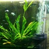WENZIDAO Pneumatic Filters are commonly Used in Ornamental Fish Tanks