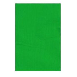 Ardinbir Studio 10 x 12 ft 100% Cotton Green Muslin Background Backdrop