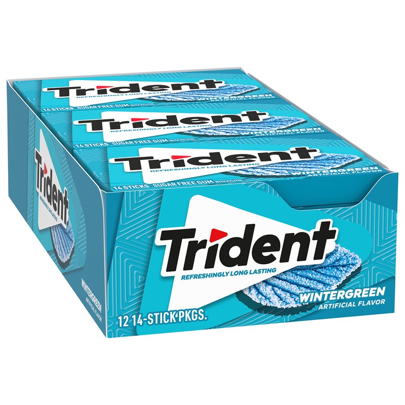 Trident Wintergreen Sugar-Free Chewing Gum, 12 Packs of 14 Pieces