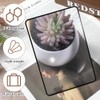 2 Pcs Magnifying for Reading 3X Flexible Plastic Magnifiers Lenses