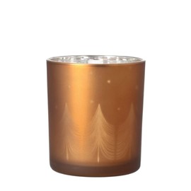 Räder Glanzlicht Tannenwald