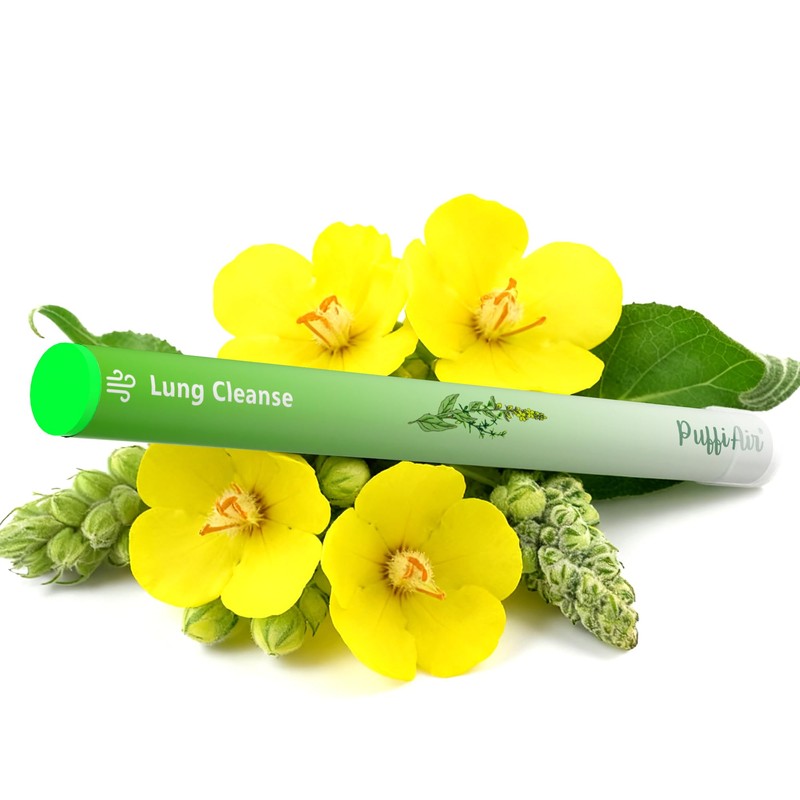 Herbal Diffuser Pen, Detox Diffuser with Mullein, Thyme & Mint