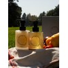 Fountain of Waters Tomato Garden Soothing Care Set / 토마토