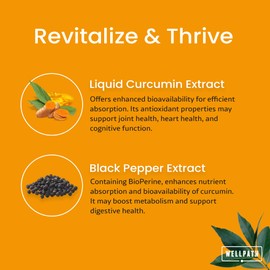 WellPath WellPath Liposomal Curcumin Supplement | Liquid Turmeric Drops with Black Pepper Extract | Enhanced Absorption | Non-GMO, Vegan, 2 oz