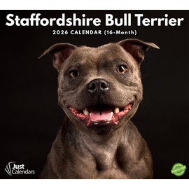2026 Staffordshire Bull Terrier Deluxe Wall Calendar | Staffy Dog | 12" x 13.3" | Plastic Free | 16-Month | Plastic Free | Home & Office Organizer | Monthly View | Major Holidays