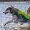 Kurgo Surf n' Turf Dog Life Jacket, Life Vest for
