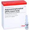 ATP Injeel Forte Ampoules Pack of 10