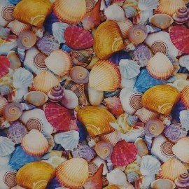 Windham Fabrics Beach Shells WINDHAM FABRICS Multicolored 52117 Quilters Cotton HALF YARD BTHY