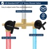 2 Handle Shower Faucet Shower System Complete 2 in 1