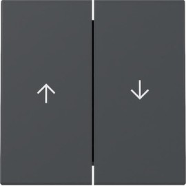 Gira 329428 Rocker Switch Anthracite 2-Way