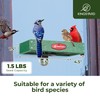 Kingsyard Window Bird Feeder, Strong Suction Cups, Durable Plastic-Wood Composite