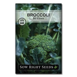 Sow Right Seeds - Di Cicco Broccoli Seeds for Planting - Non-GMO Heirloom Packet with Instructions to Plant an Outdoor Home Vegetable Garden - Great for Salads - Abundant Harvest (1)