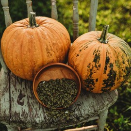 Kakai Hulless Oilseed Pumpkin - 25 Seeds - Austrian Pumpkin Variety, Styrian Pumpkin, Grow Your Own Pumpkin Seeds, Non-GMO Heirloom Pumpkin Seeds for Planting in The Home Garden, Thresh Seed Company