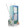 100 ml Reed Diffuser (BFC6 SEA Spray)
