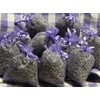 Quertee 5 x Lavender Bags with French Lavender - Total