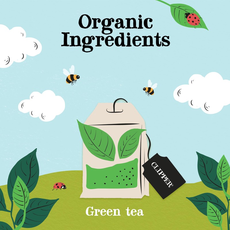 Clipper Organic Pure Green, 80 Tea Bags