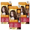 Elastine Salon de Color & Gray Hair Dyeing Cream, Natural Brown, 3 Pieces / 엘라스틴 살롱 드 컬러 앤 새치 염색 크림, 자연갈색, 3개