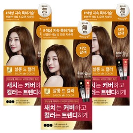 Elastine Salon de Color & Gray Hair Dyeing Cream, Natural Brown, 3 Pieces / 엘라스틴 살롱 드 컬러 앤 새치 염색 크림, 자연갈색, 3개